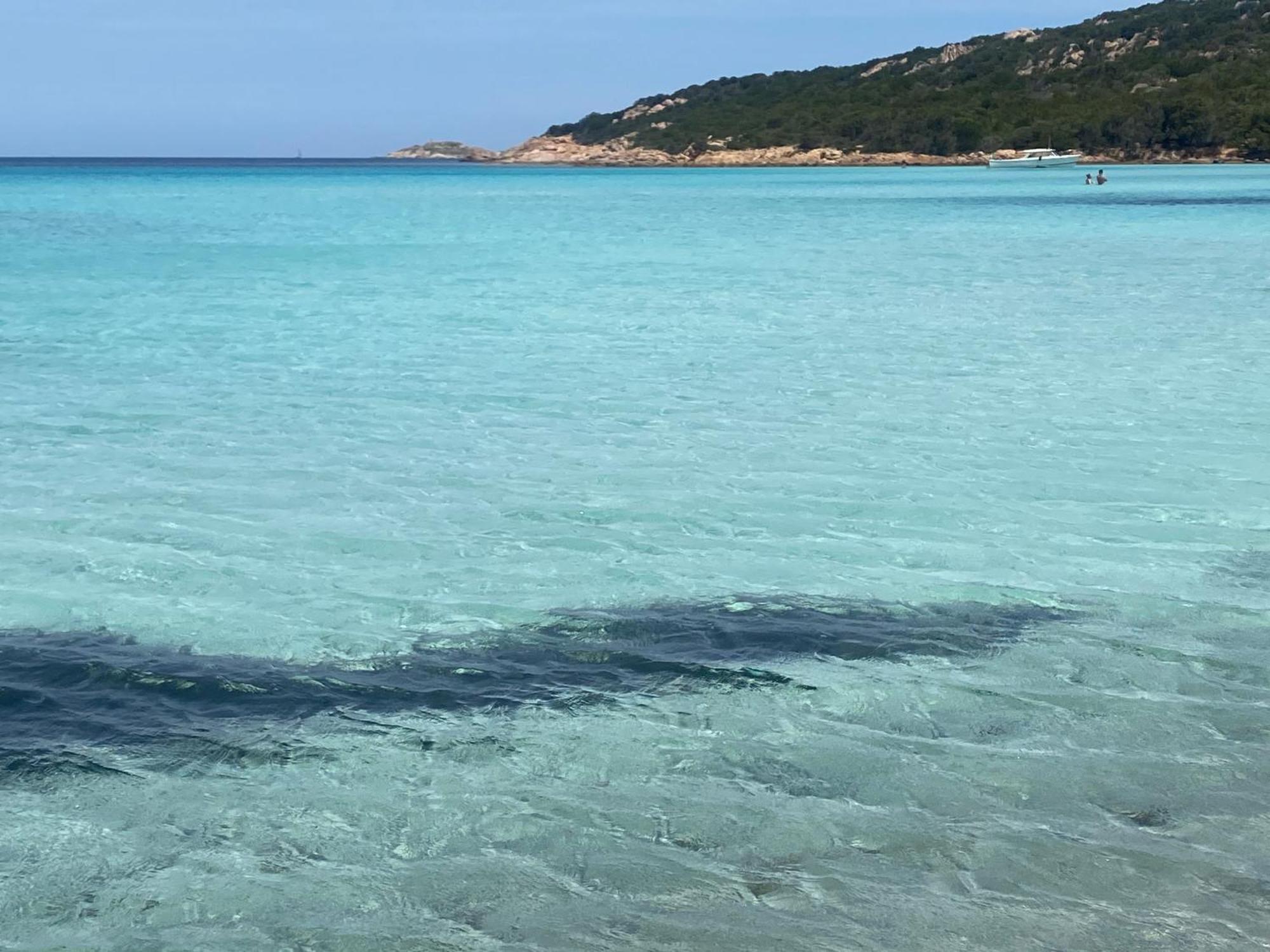 Casa Stella Residence Ea Bianca Baja Sardinia Eksteriør billede